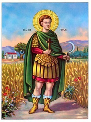 ΑΓΙΟΣ ΤΡΥΦΩΝ, ΜΑΡΤΥΣ, ΟΛΟΣΩΜΟΣ